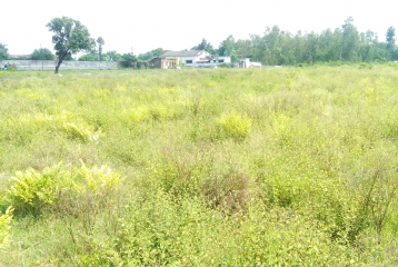 Plots & Land For Sale In Dehradun